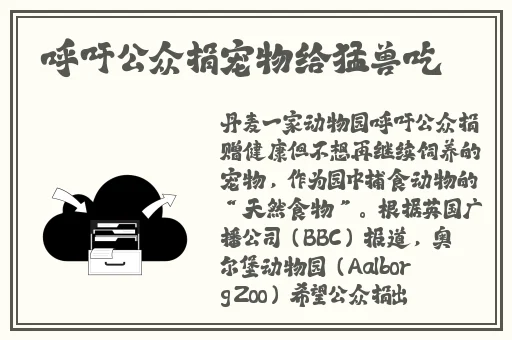 打扑克剧烈摇床不盖被子