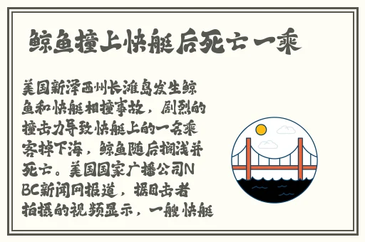 高清小学生VPSWINDOWS